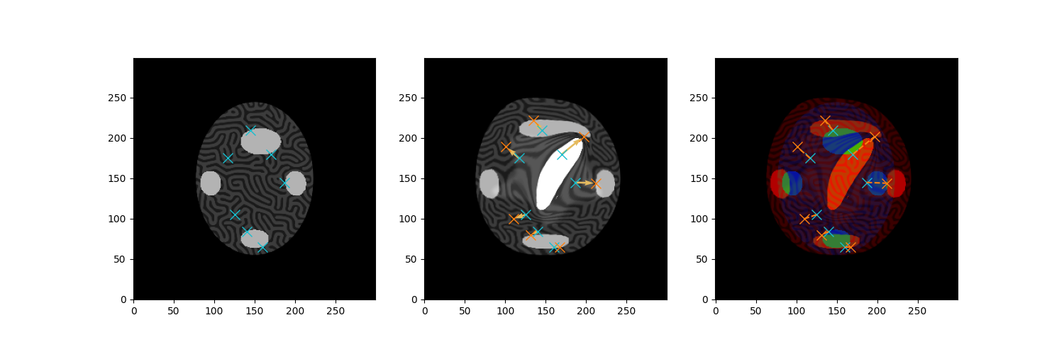 toyExample grayScott constrainedMetamorphosis